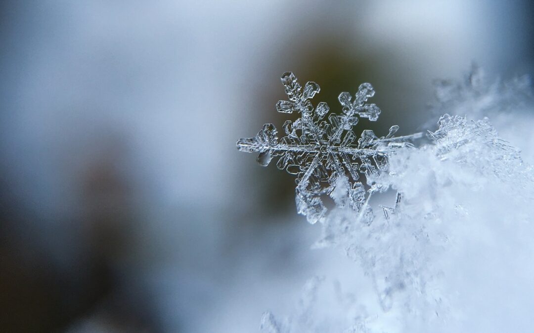 SAUNA IM WINTER
